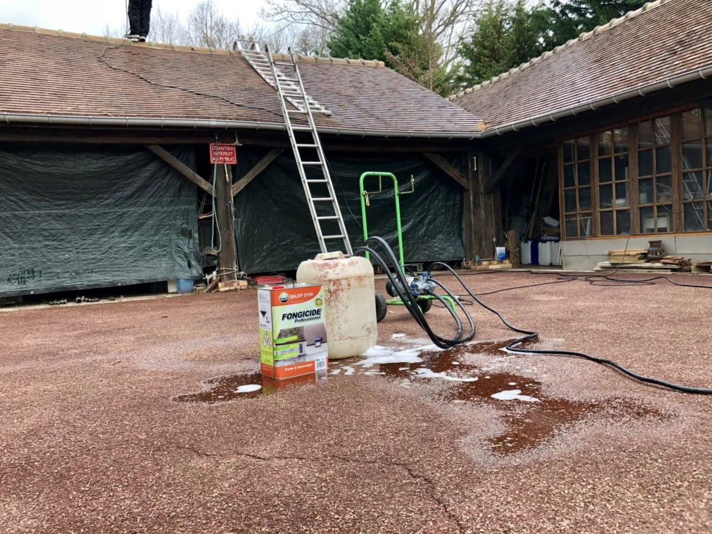 demoussage toiture 78